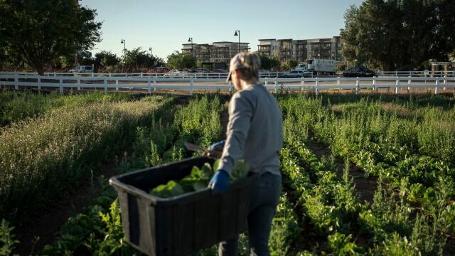 Climate Agritopia Agricultural Community