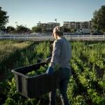 Climate Agritopia Agricultural Community