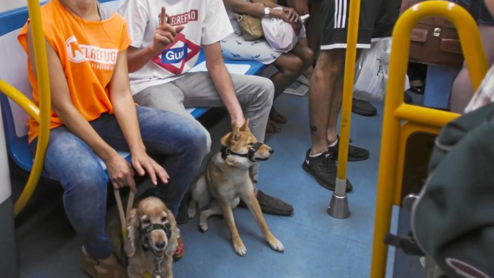Perros en el Metro de Madrid