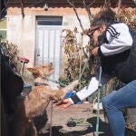 Una imagen del rescate del perro 