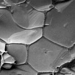 Venas de salmuera líquida, donde las moléculas de ARN pueden replicarse, rodean cristales de hielo sólido en el hielo de agua, como se observa con un microscopio electrónico.