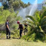 Rocían El Saler (Valencia) con un líquido que retarda la expansión del fuego