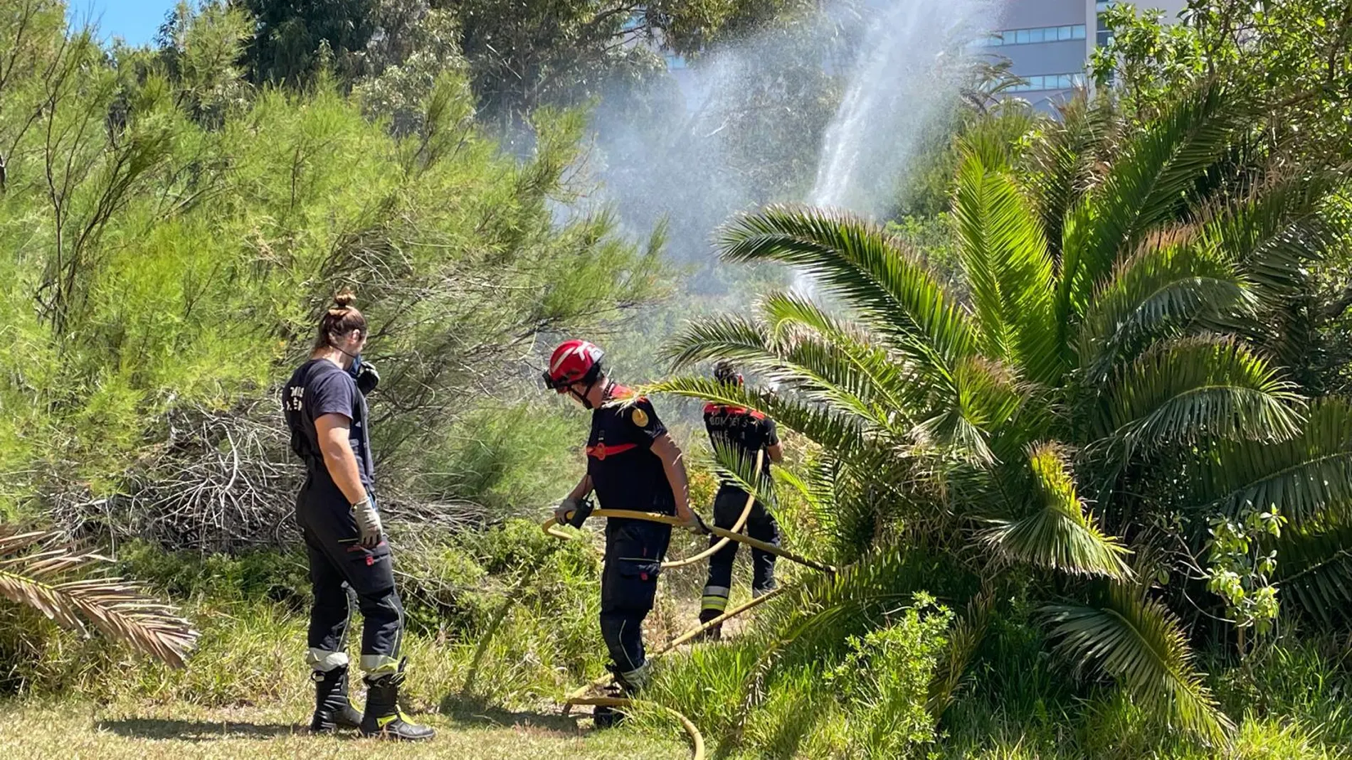 Rocían El Saler (Valencia) con un líquido que retarda la expansión del fuego