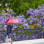 Aviso amarillo este miércoles por calor en Córdoba, Jaén y Sevilla con temperaturas máximas de hasta 40 grados