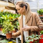 Un experto advierte sobre una planta peligrosa que se vende en casi todas las grandes tiendas de jardinería: "Tenemos que dejar de comprarla"