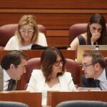 El portavoz del Grupo Popular, Ricardo Gavilanes, conversa con la procuradora Mercedes Cofreces, y con el consejero de Medio Ambiente, Juan Carlos Suárez Quiñones, durante el Pleno de las Cortes de Castilla y León
