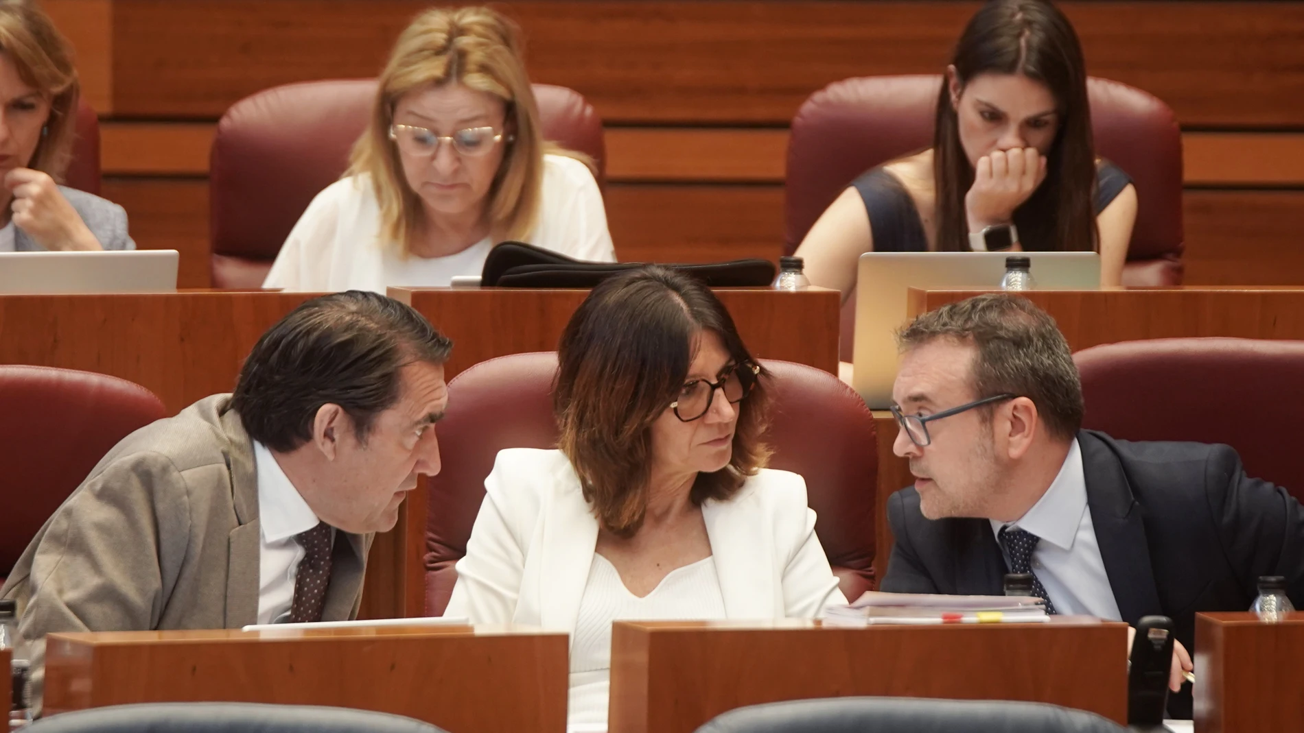 El portavoz del Grupo Popular, Ricardo Gavilanes, conversa con la procuradora Mercedes Cofreces, y con el consejero de Medio Ambiente, Juan Carlos Suárez Quiñones, durante el Pleno de las Cortes de Castilla y León