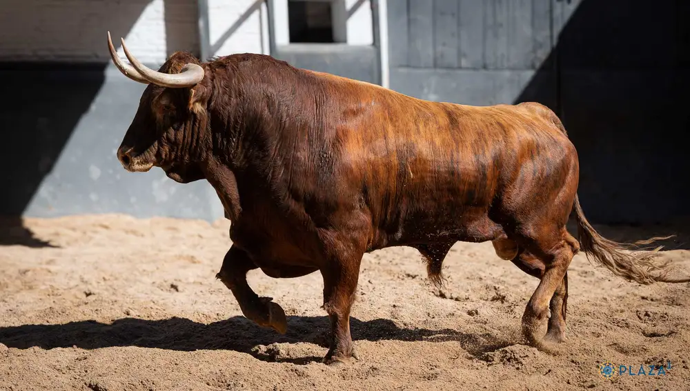 "Tombolero", nº 6.