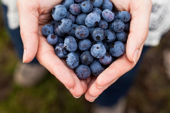 Para qué sirven los arándanos: efectos y beneficios