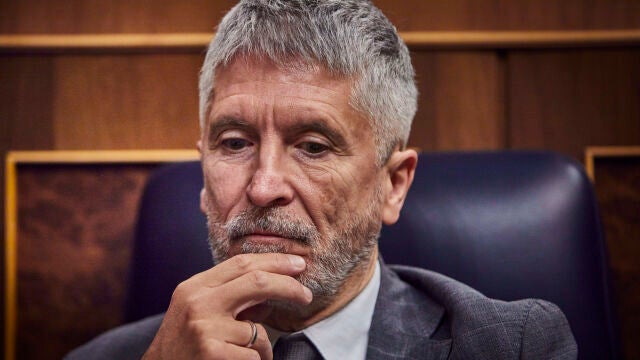 Sesión de control al Gobierno en el Congreso de los Diputados. Fernando Grande Marlaska © Alberto R. Roldán / 