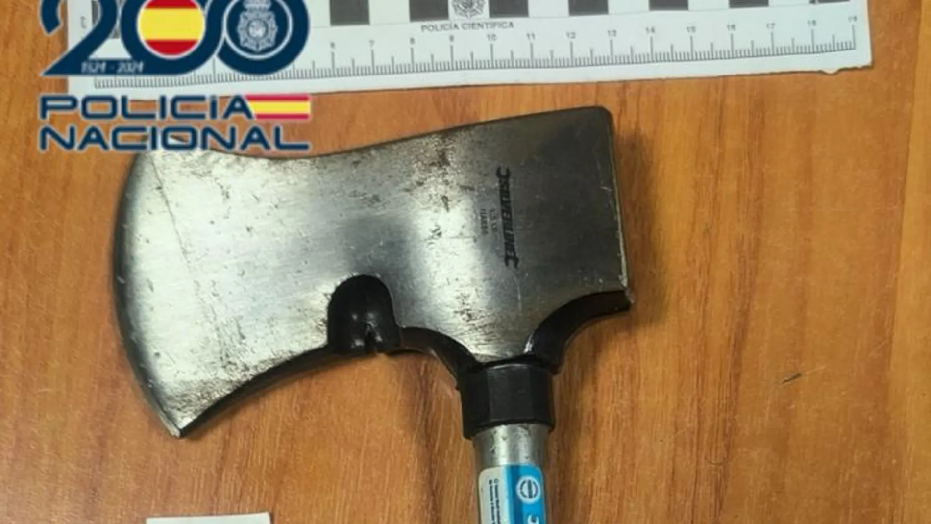 Detenido por golpear a un perro con un hacha en la cabeza en Valladolid