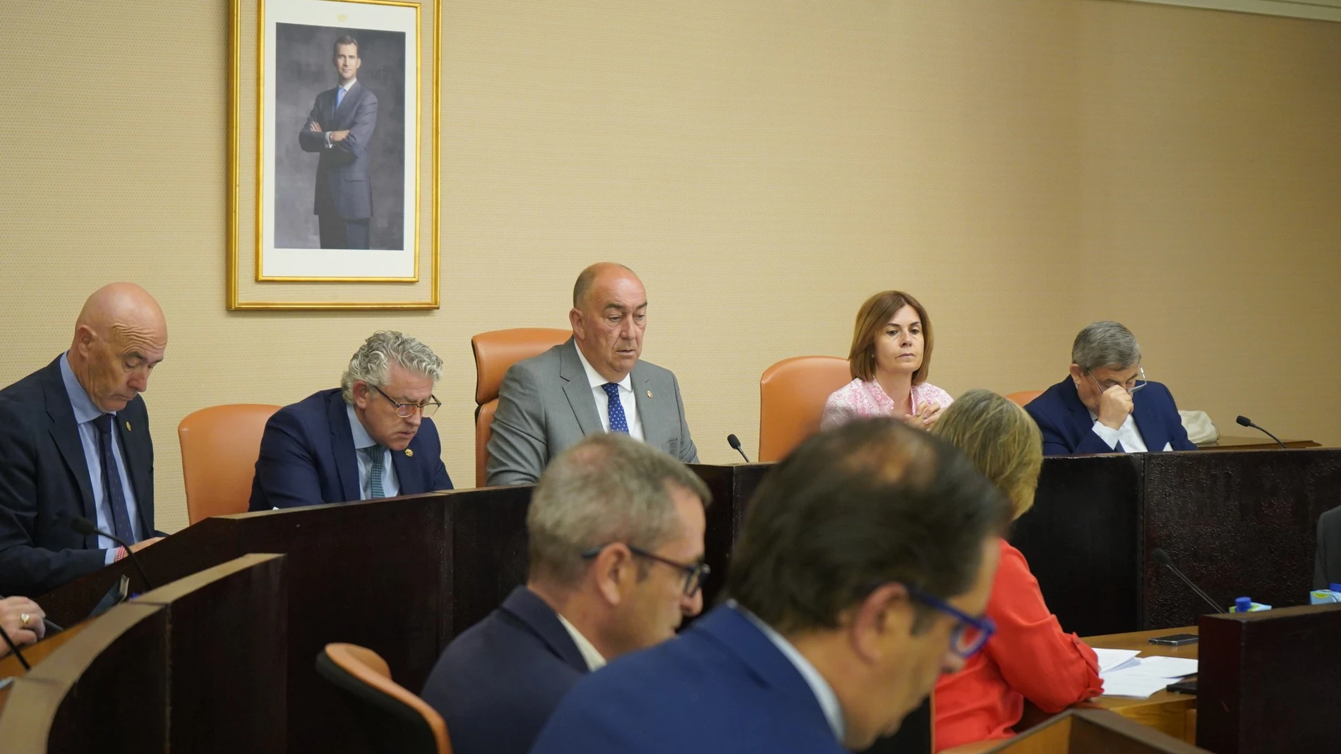 Pleno de la Diputación de Segovia del mes de mayo