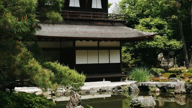  El método japonés para tener plantas siempre en flor