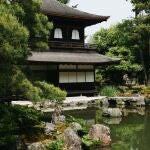  El método japonés para tener plantas siempre en flor