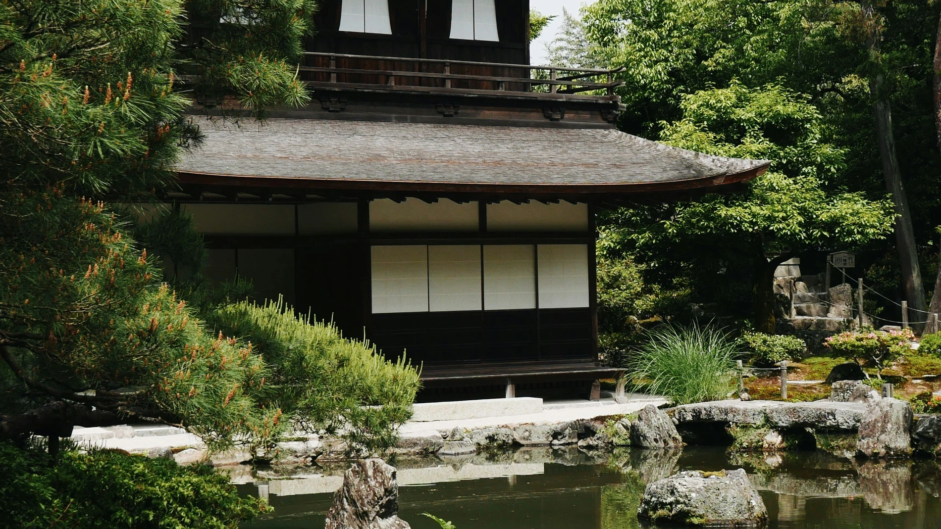 El método japonés para tener plantas siempre en flor