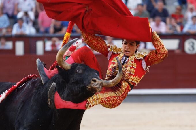 El novillero Marco Pérez tras ser cogido durante una novillada con picadores, con reses de Fuente Ymbro y El Freixo, este viernes en la Monumental de Las Ventas, en Madrid.