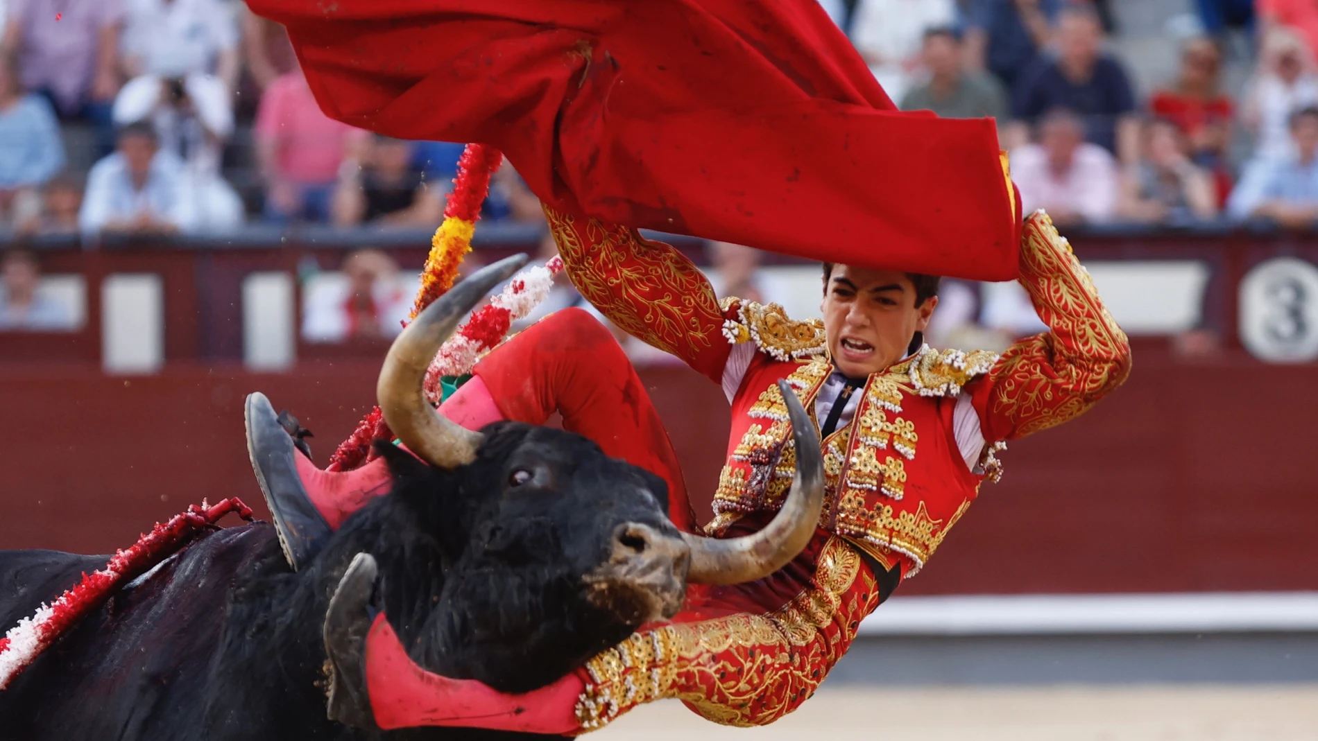 El novillero Marco Pérez tras ser cogido durante una novillada con picadores, con reses de Fuente Ymbro y El Freixo, este viernes en la Monumental de Las Ventas, en Madrid.