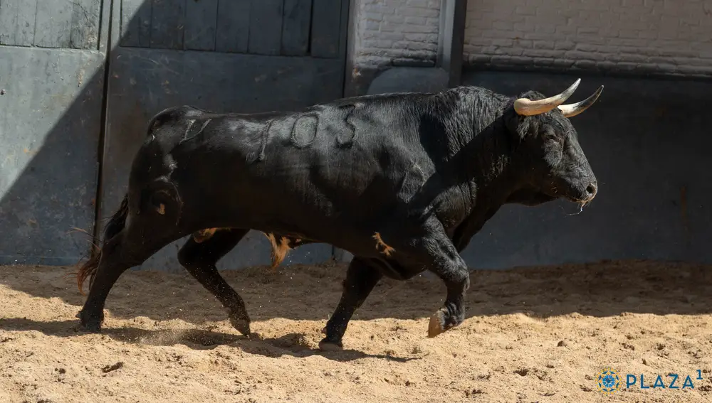 "Historiador", nº 103