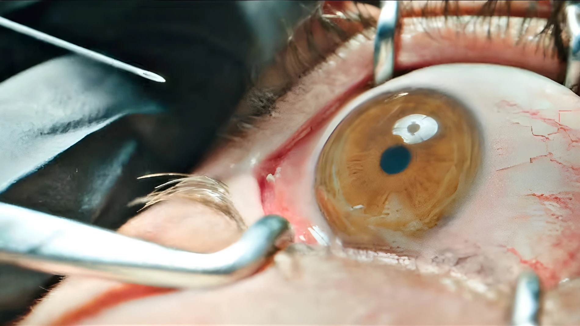'The Home', del director de 'La purga', ya tiene su primer y terrorífico tráiler
