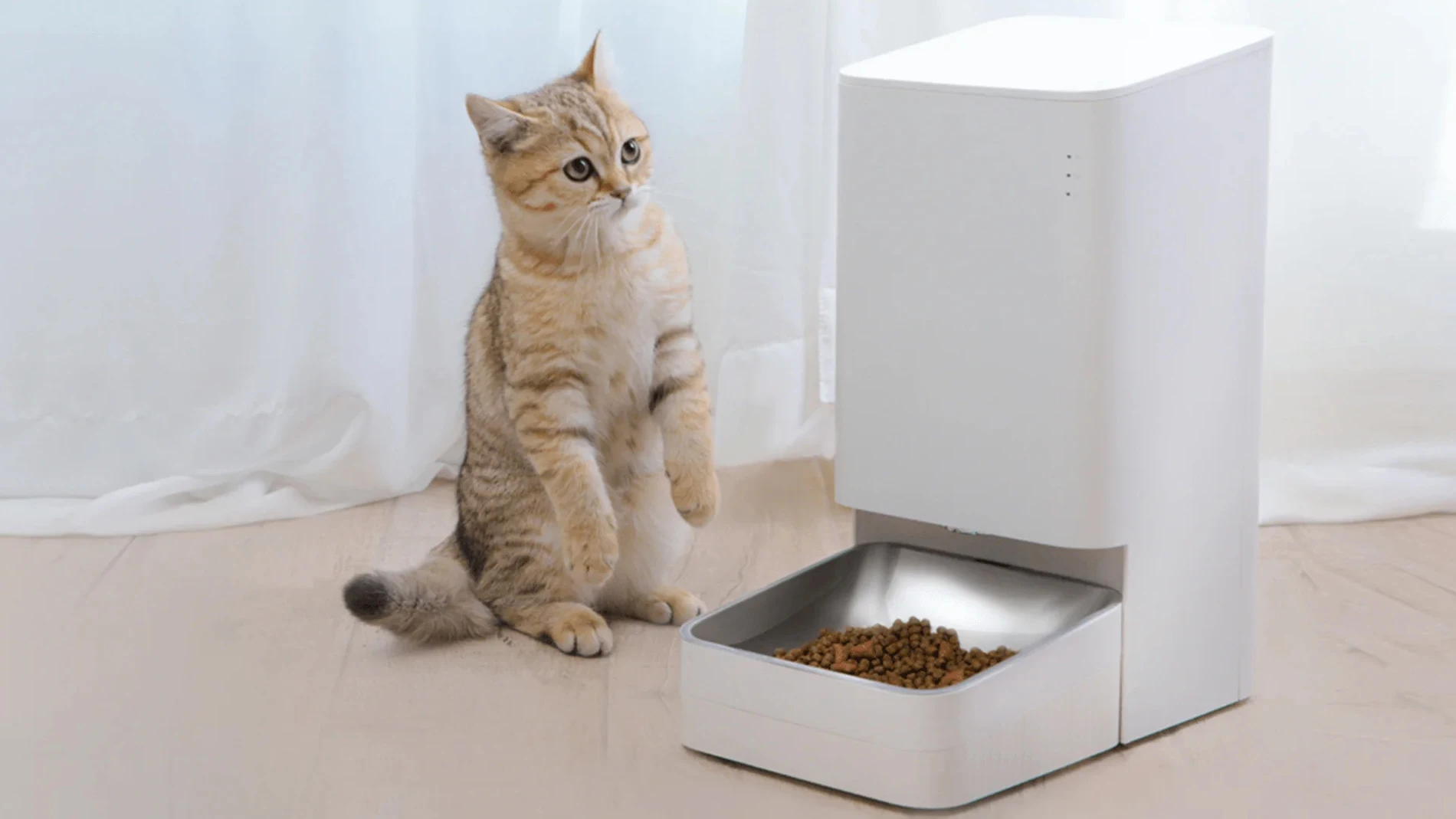 Xiaomi Smart Pet Food Feeder