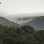Sucesos.- Extinguido el incendio forestal de Calvos de Randín (Ourense), que afectó al Parque Natural do Xurés