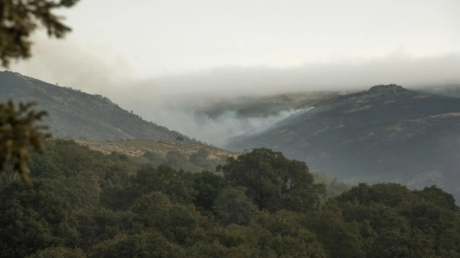 Sucesos.- Extinguido el incendio forestal de Calvos de Randín (Ourense), que afectó al Parque Natural do Xurés