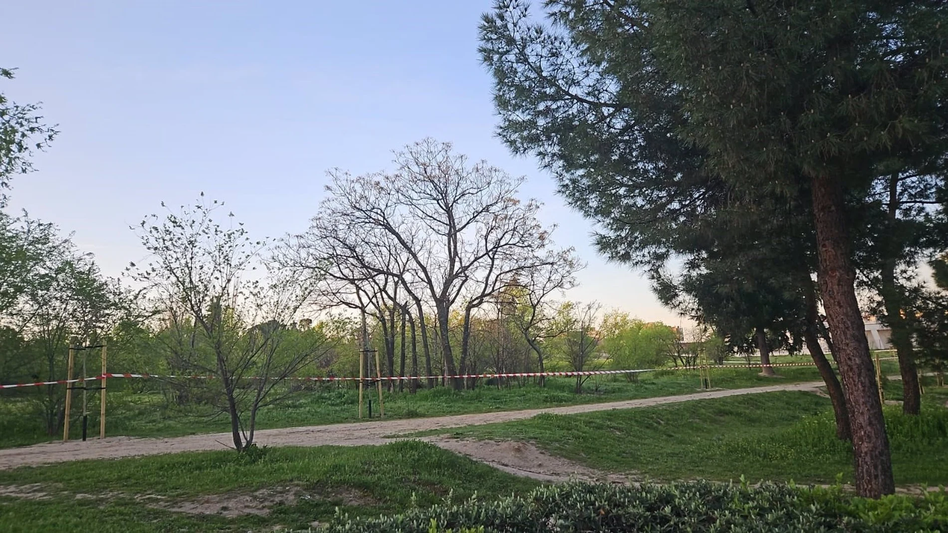 MADRID.-AMP.- Fiscalía archiva diligencias en relación a las talas en el terreno en el que se proyecta el cantón de Montecarmelo