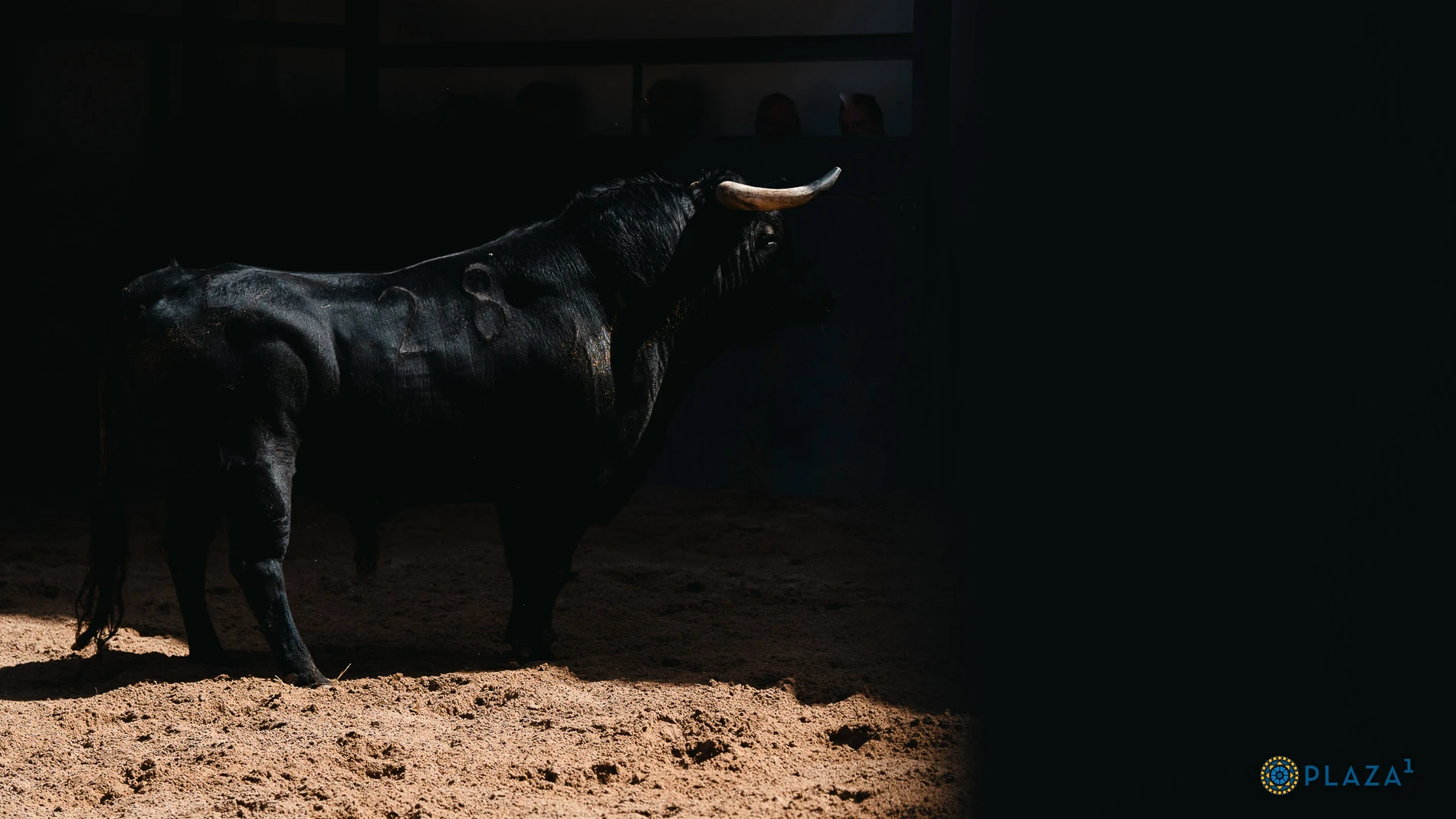 Estos son los toros de Los Espartales que pondrán la emoción esta tarde en Las Ventas