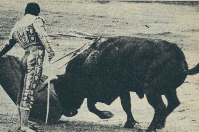 Cuando Curro mató murteiras