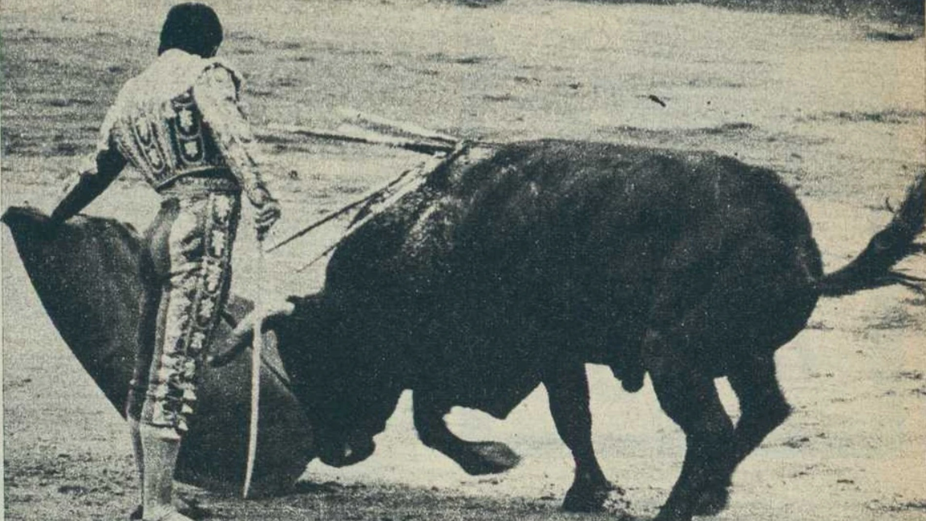 Cuando Curro mató murteiras