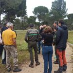 Auditoria del PEFC