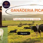 Imagen del proyecto ganador del concurso
