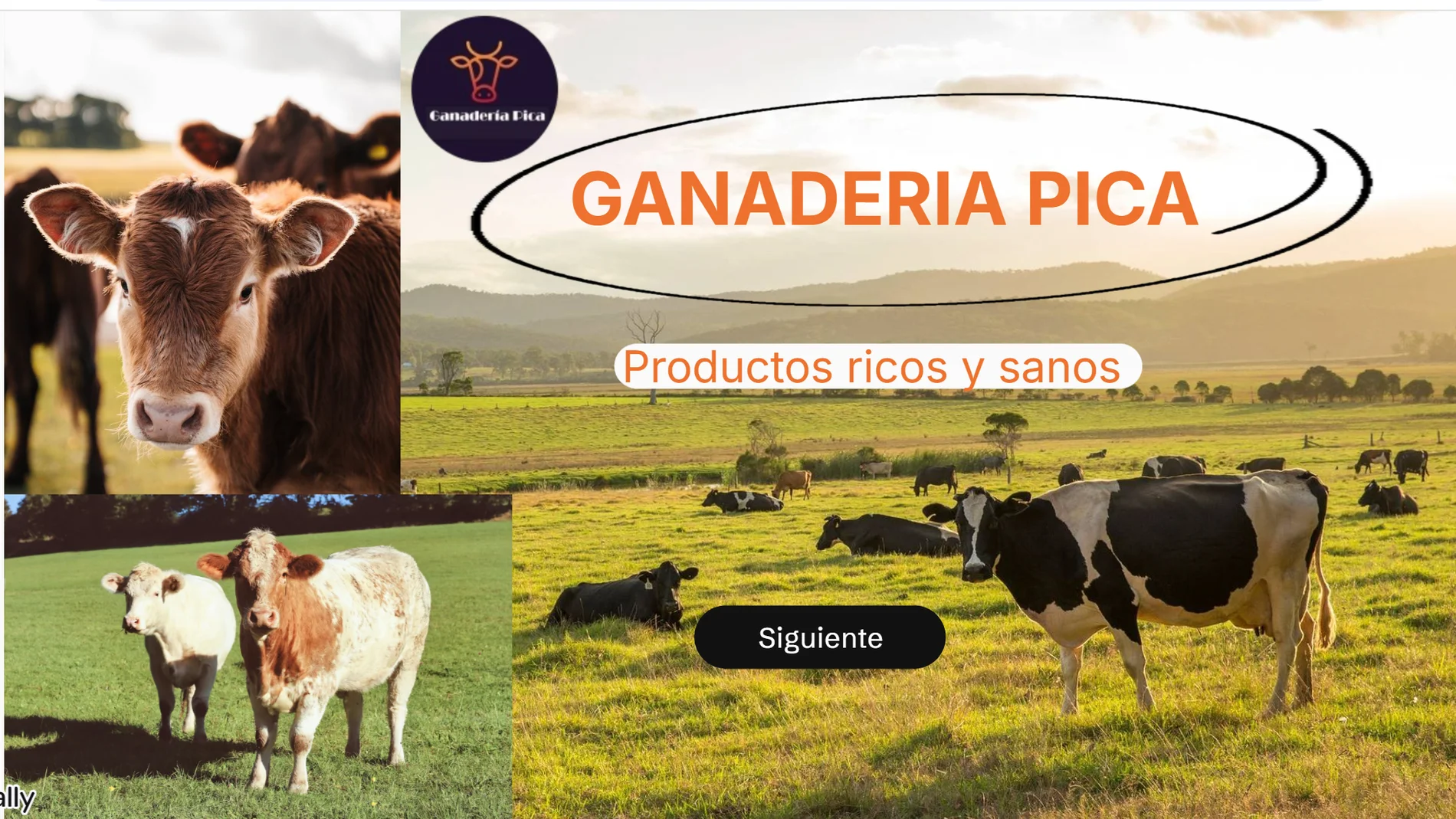 Imagen del proyecto ganador del concurso