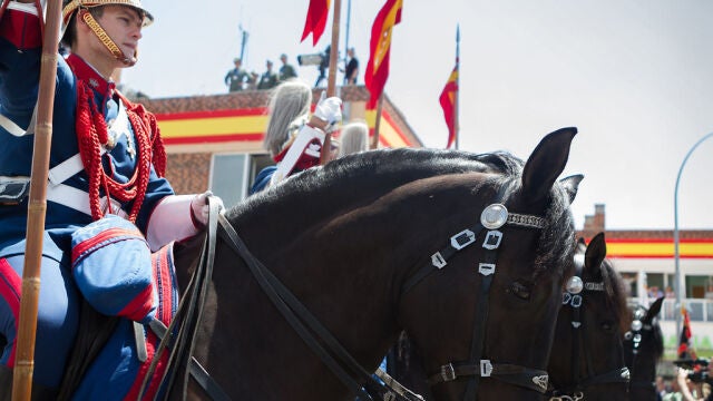 ¿Por qué no habrá caballos en el desfile del Día de las Fuerzas Armadas 2025?