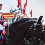 ¿Por qué no habrá caballos en el desfile del Día de las Fuerzas Armadas 2025?