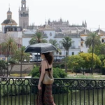oven se protege del sol con un paraguas, este domingo en Sevilla