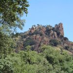 Ocho millones de euros para la prevención de incendios forestales este verano en la Comunitat Valenciana