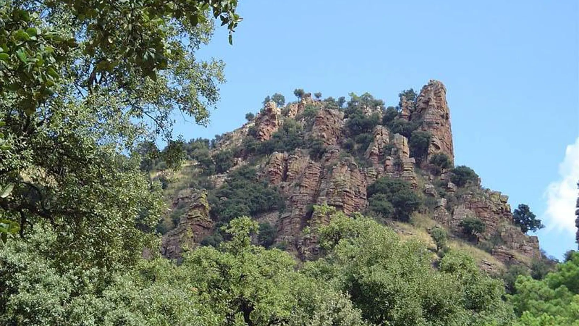 Ocho millones de euros para la prevención de incendios forestales este verano en la Comunitat Valenciana