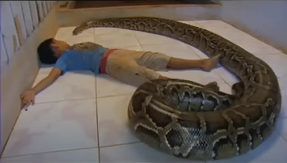 Niño con pitón