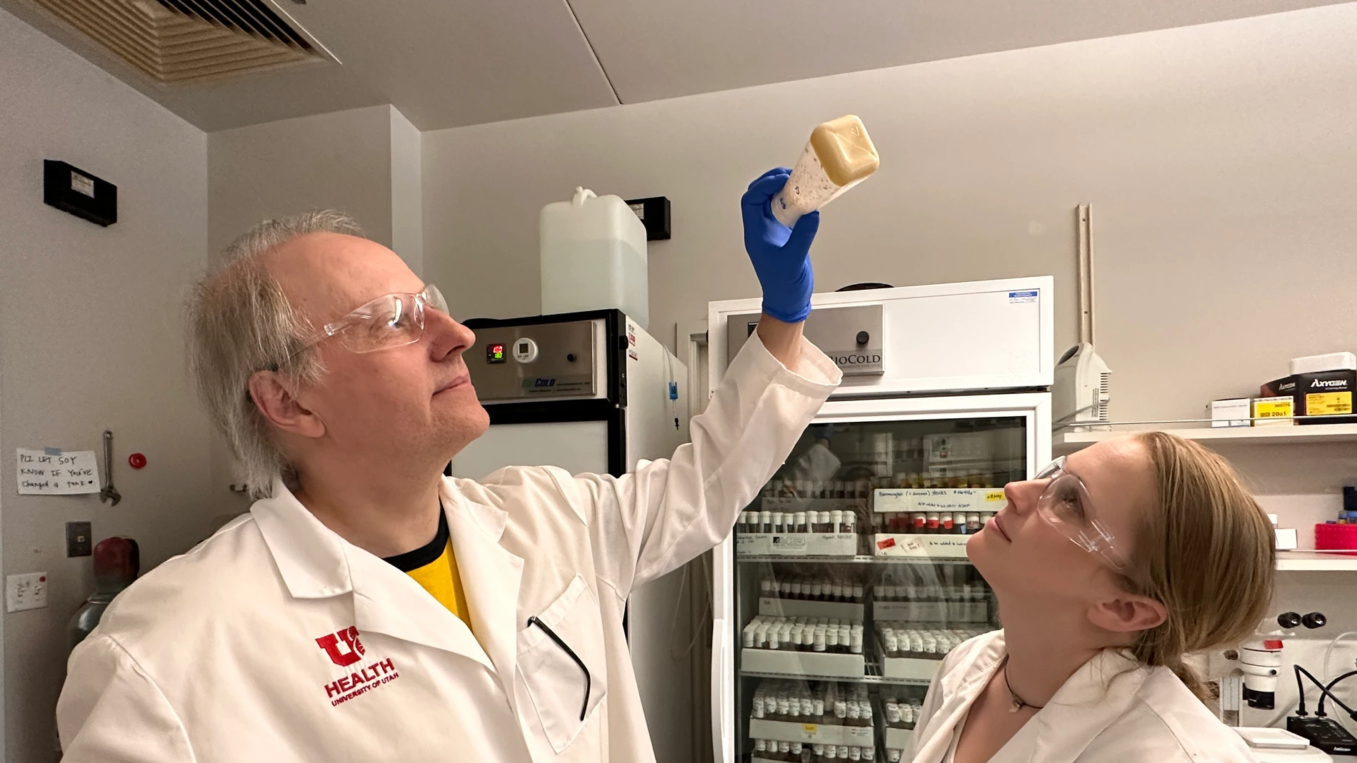 Adrian Rothenfluh, PhD (izquierda) y Pearl Cummins-Beebee (derecha, también autora del artículo) inspeccionan una botella con moscas de la fruta en el laboratorio.