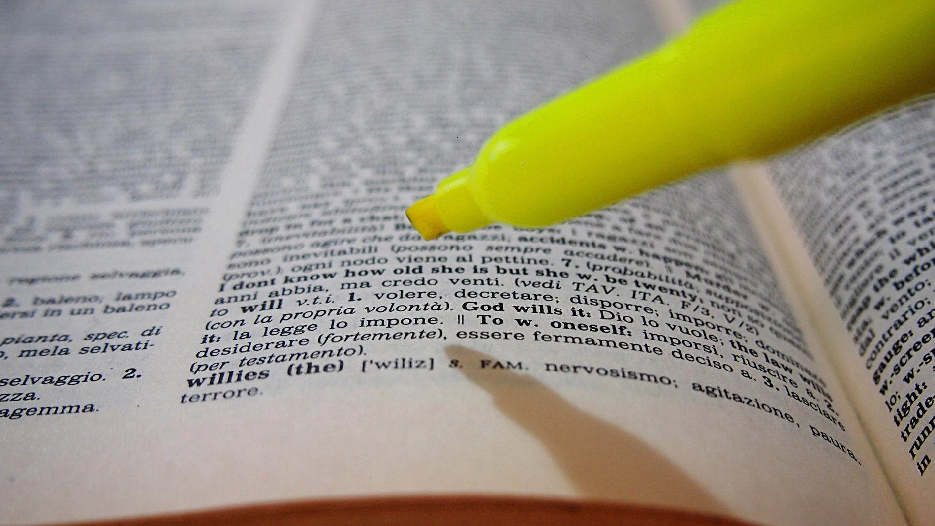 El español es uno de los idiomas más ricos del mundo y la RAE recoge en su diccionario más de 100.000 palabras diferentes