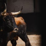 Estos son los serios toros de Lagunajanda para esta tarde en Las Ventas