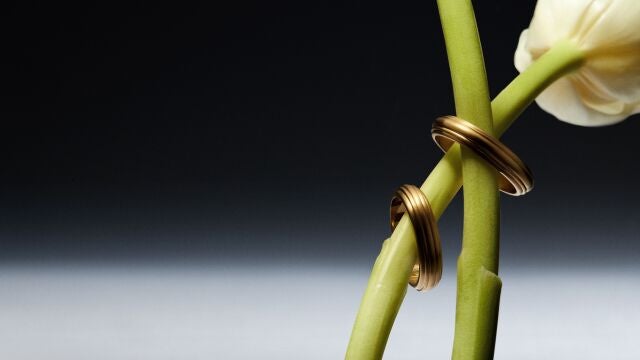 GRASSY alianzas