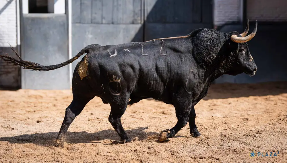 "Vengador", nº 22