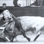 Capea y Cumbreño: 40 años de una faena que marcó época en Madrid