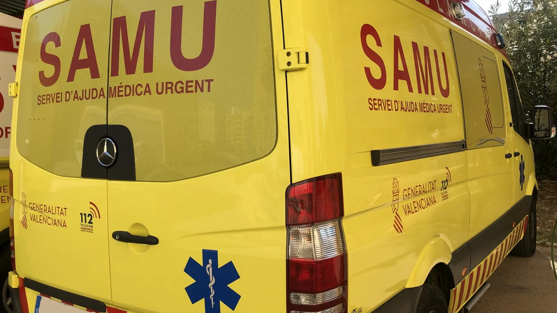 Confirman un caso de rabia en un paciente hospitalizado en la Comunidad Valenciana tras ser mordido por un perro
