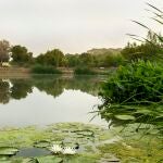 Utilizar la naturaleza como inspiración