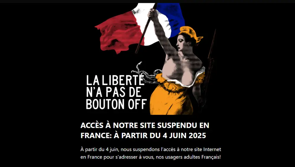 Inicio de Pornhub en Francia