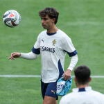 UEFA Nations League Finals - Portugal training session