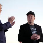 Trump Musk Business Fallout